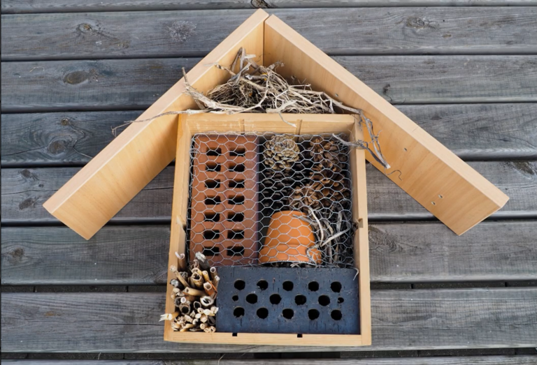 Insectenhotel met hout, stenen en dennenappels, op houten oppervlak.
