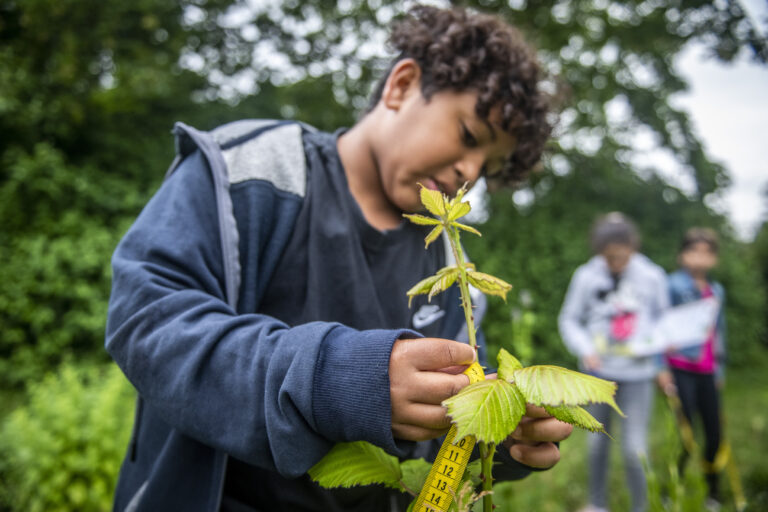 Een kind meet een plant met een meetlint in een groene buitenomgeving.