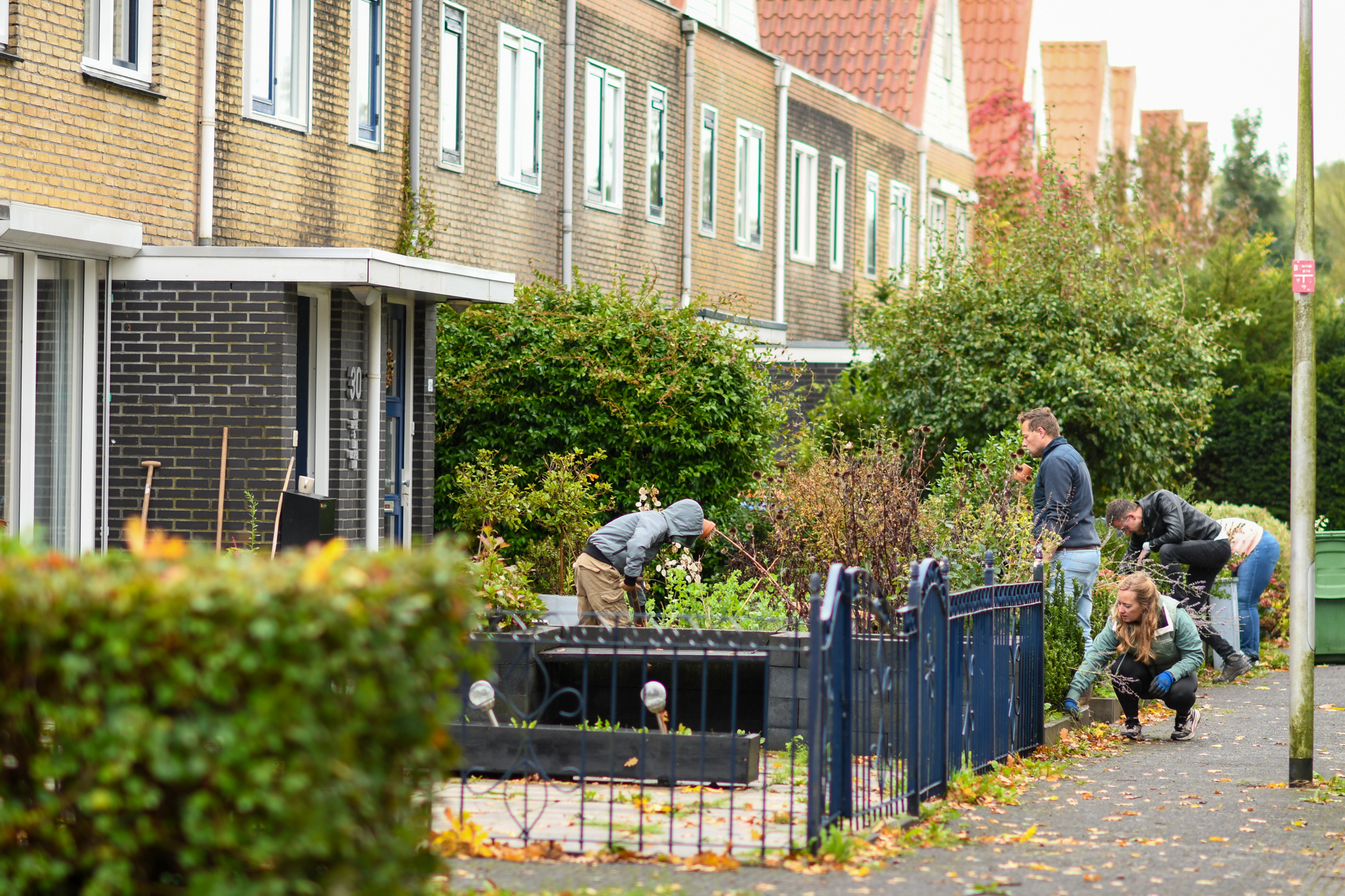 Mensen werken samen aan tuinonderhoud in een rijtjeshuizenbuurt.