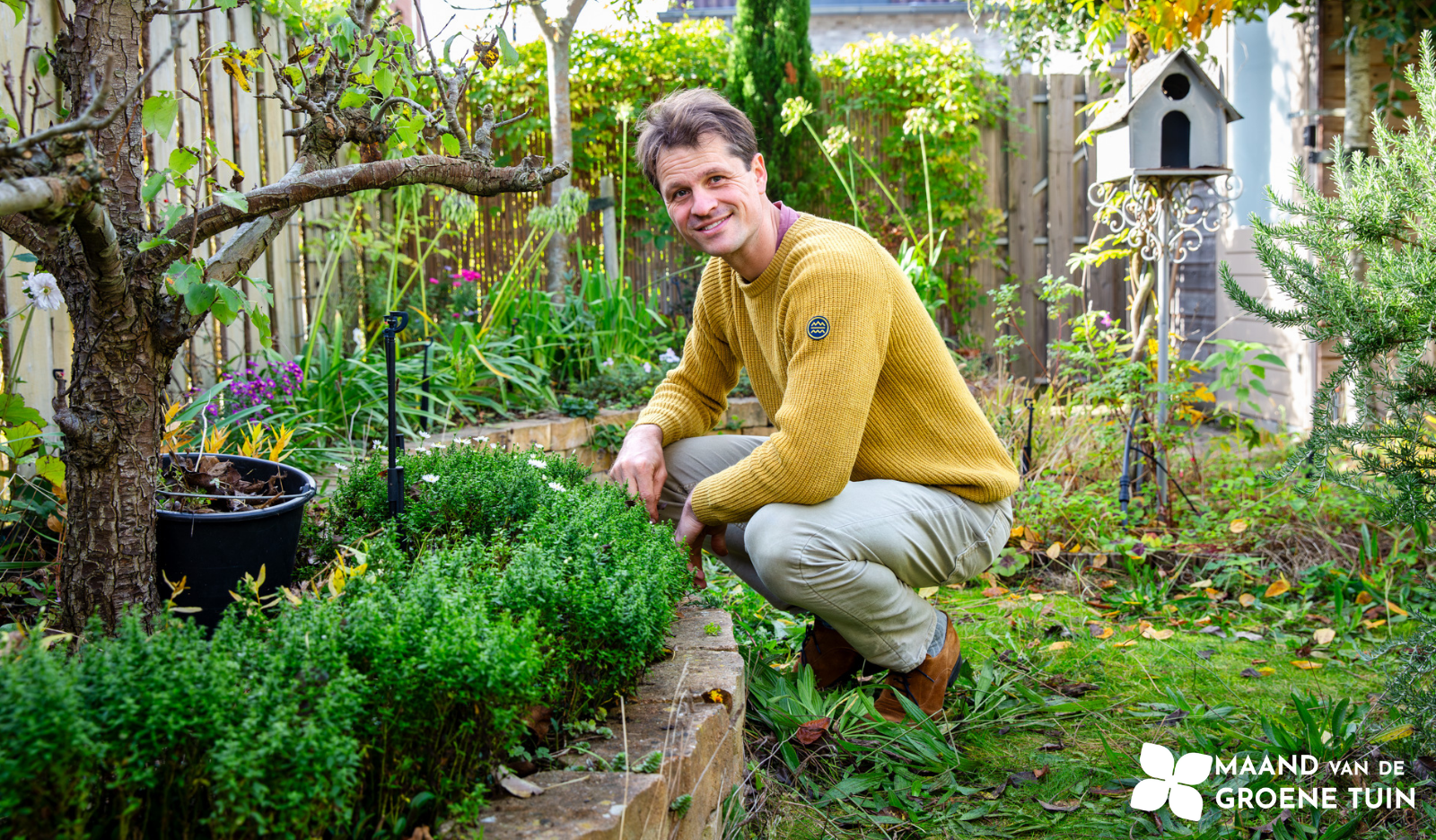 Man in gele trui hurkt in een groene tuin naast struiken en een vogelhuisje.