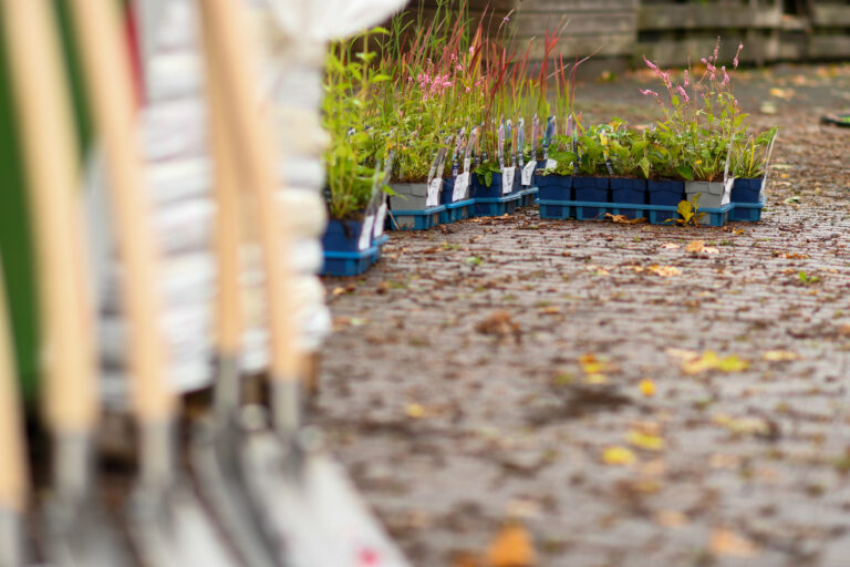 Plantenbakken op stoep; op de voorgrond staan rijen schoppen onscherp.