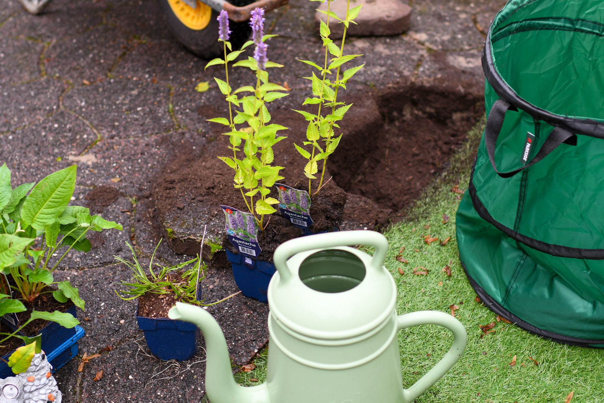 Planten en gieter naast een uitgegraven gat en groene zak op een tuinpad.