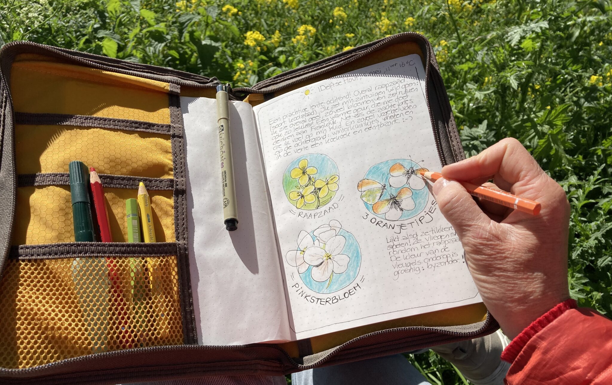Persoon tekent bloemen in een notitieboekje in de natuur, omringd door groen.