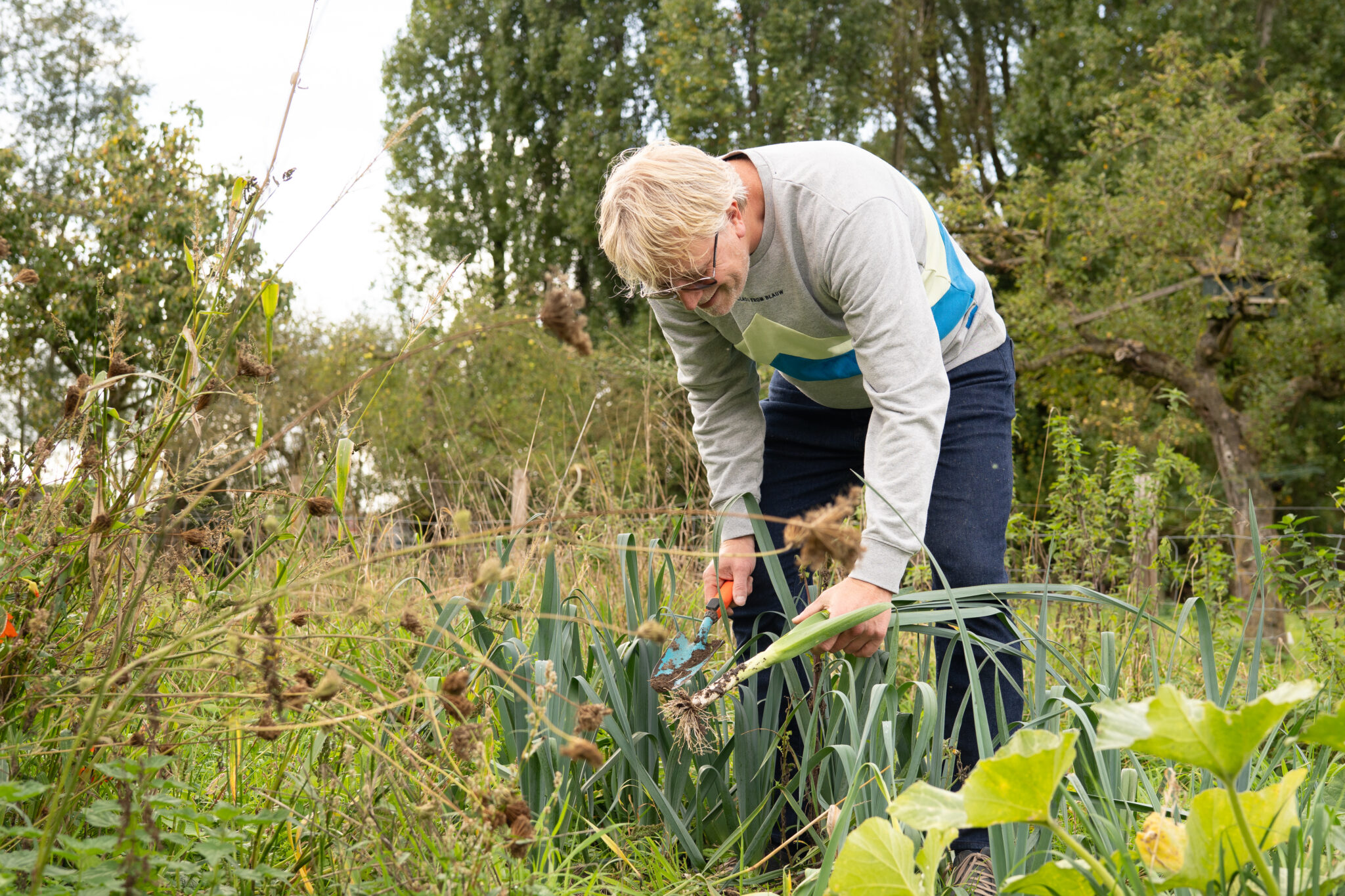 Persoon oogst prei in een groene tuin, omringd door bomen en wilde planten.