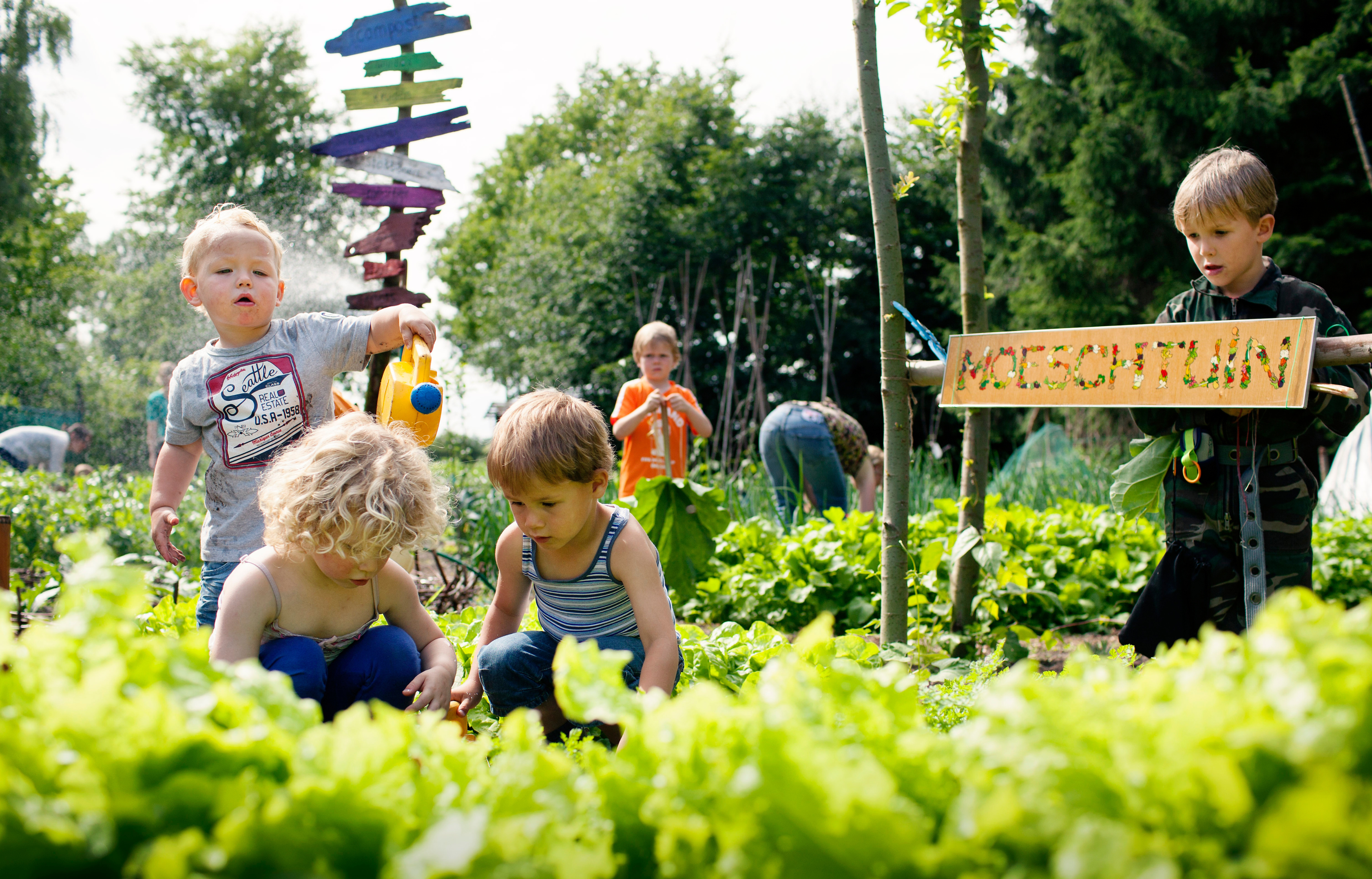 Kinderen spelen in een moestuin met een kleurrijk bord en groene planten om hen heen.