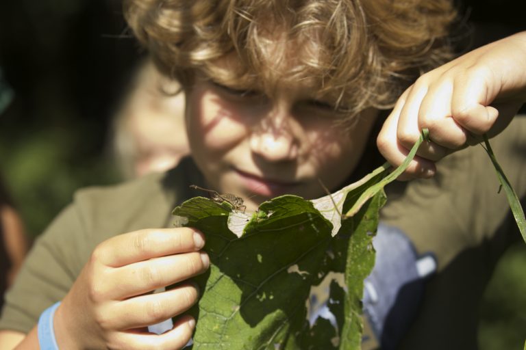 Revolutie Groene en Gezonde Pleinen