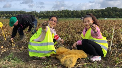 Lelystadse basisscholen en BSO’s starten met Van Zaadje tot Soep
