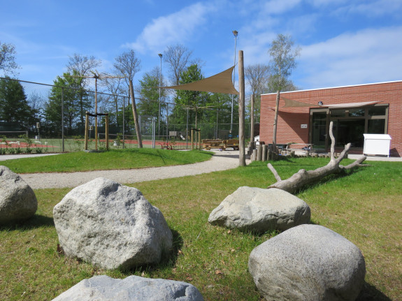 groen schoolplein Flevoland risicovol spelen