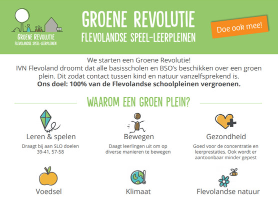 Screenshot Flyer Revolutie groene en gezonde schoolpleinen