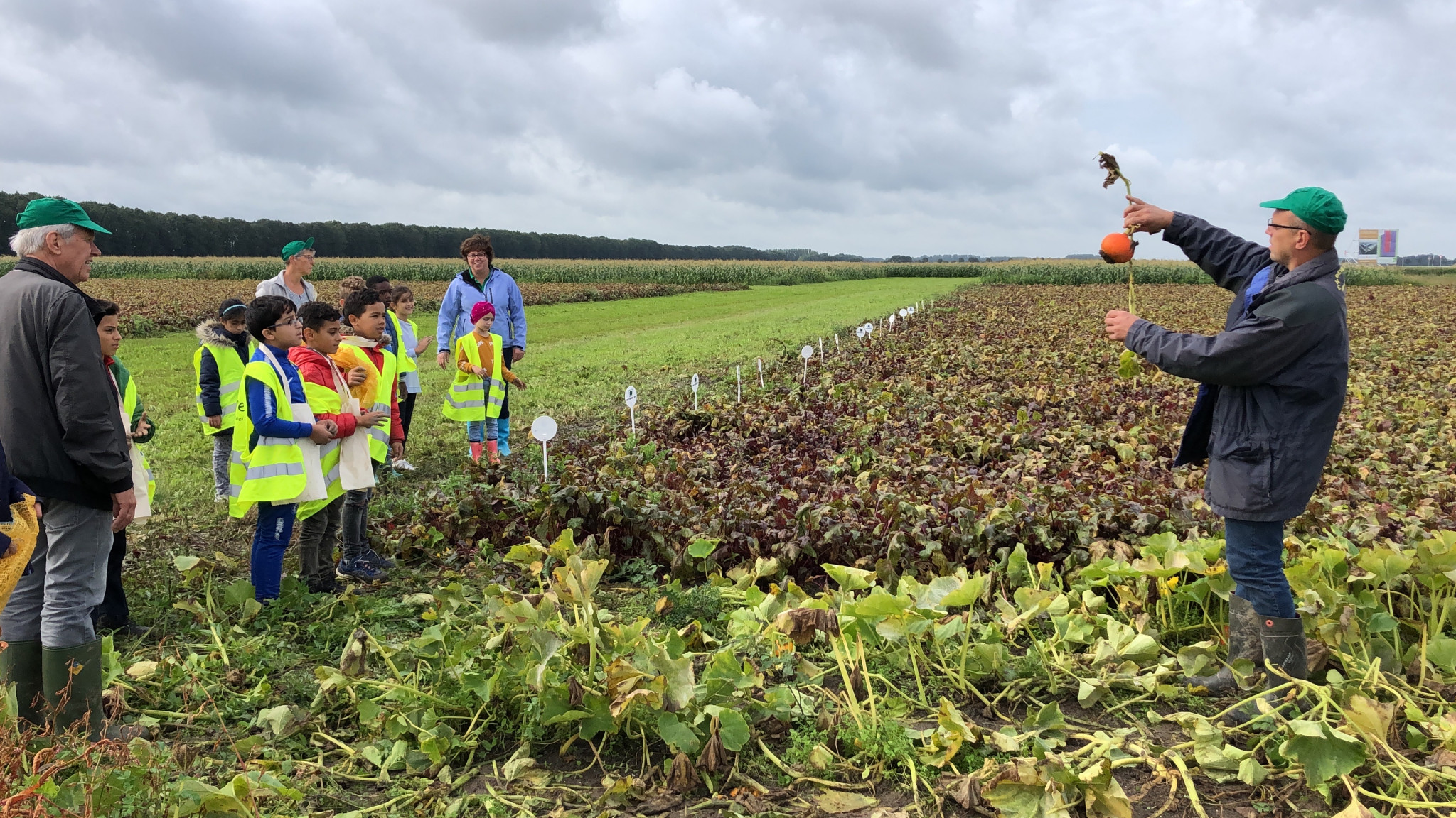 Lelystadse kinderen gaan oogsten bij De Lelystadse Boer