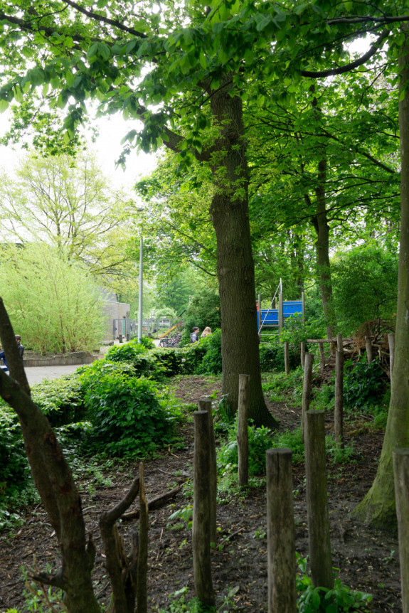 Groen Schoolplein Dronten 4