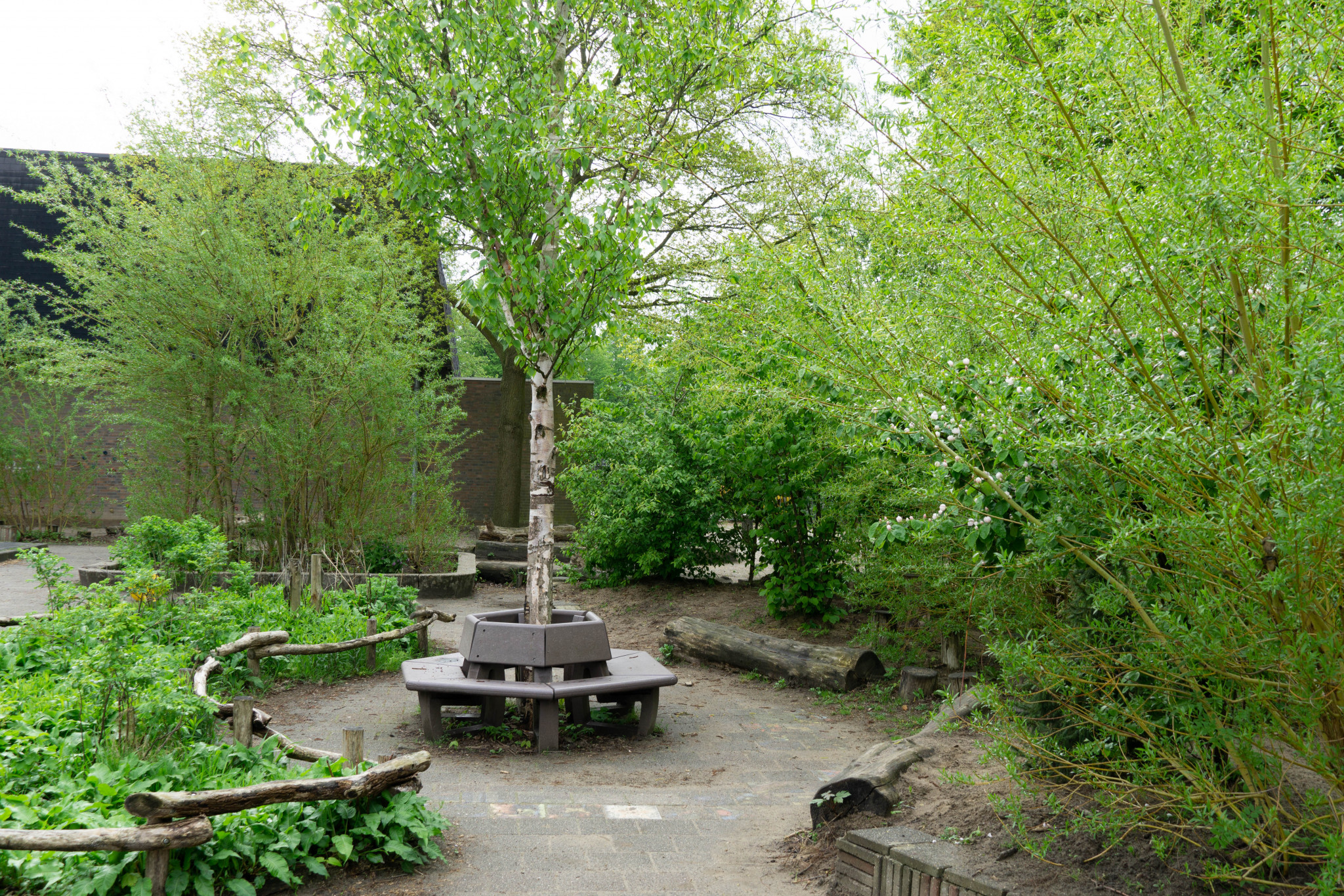 Schooldirecteur Saskia Linschoten over de aanleg en het onderhouden van hun groene schoolplein