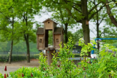 Basisschooldirecteur Peter Hulstein over educatieve mogelijkheden op een groen plein