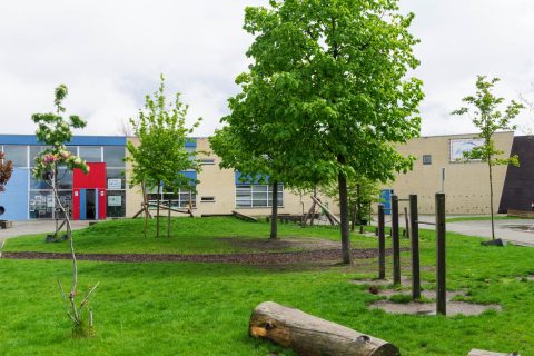 Flevolanders slaan handen ineen voor groene en gezonde schoolpleinen