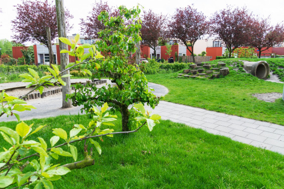 Groene Schoolpleinen Almere - Parkje