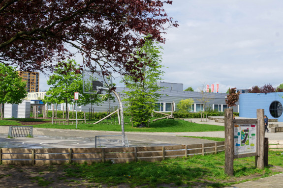 Groen Schoolplein Almere - Wadi