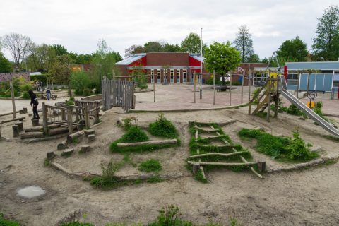 Schooldirecteur Roelie Renzema over het betrekken van ouders, kinderen en de buurt op een groen plein