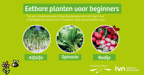 eetbareplantenbeginners