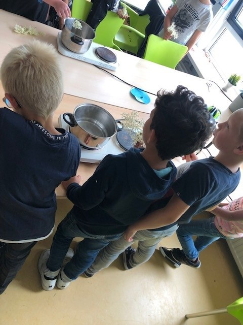 Smaaklessen vlierbloesem