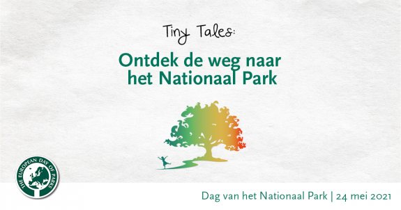 Tiny Tales beeld 2