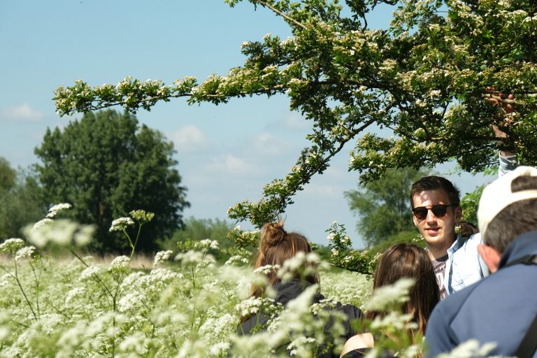 Een groep mensen in een veld met bloeiende planten onder een blauwe lucht.