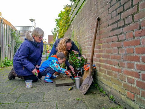 groene straat make over vergroenen drie mensen leggen een geveltuinje aan