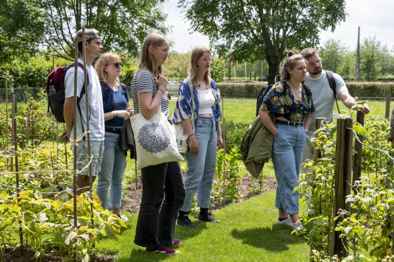 Een groep mensen kijkt naar planten in een tuin op een zonnige dag.