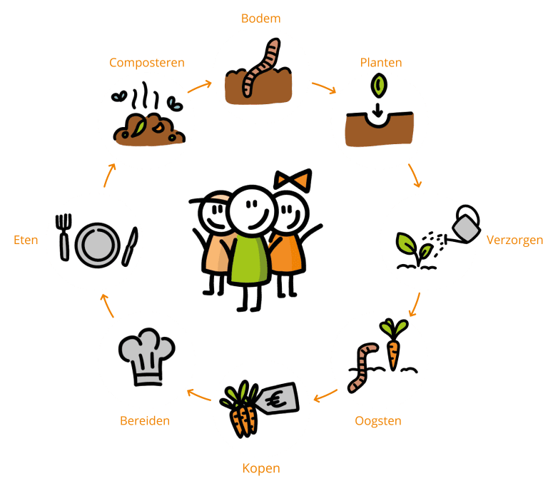 Cirkel van voedsel: Bodem, planten, verzorgen, oogsten, kopen, bereiden, eten, composteren.
