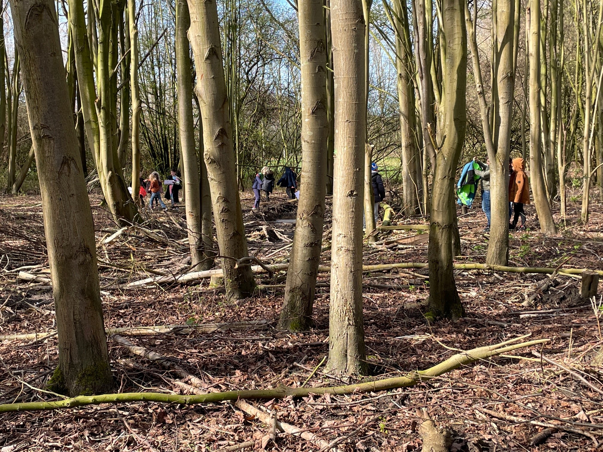 Mensen wandelen door een bos met kale bomen en een tapijt van gevallen bladeren.