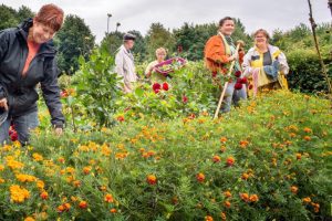 levendige tuin