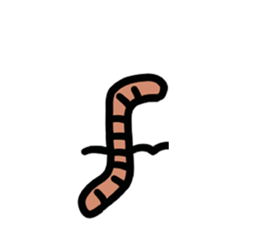 Cartoontekening van een lachende, bruine regenworm op een witte achtergrond.