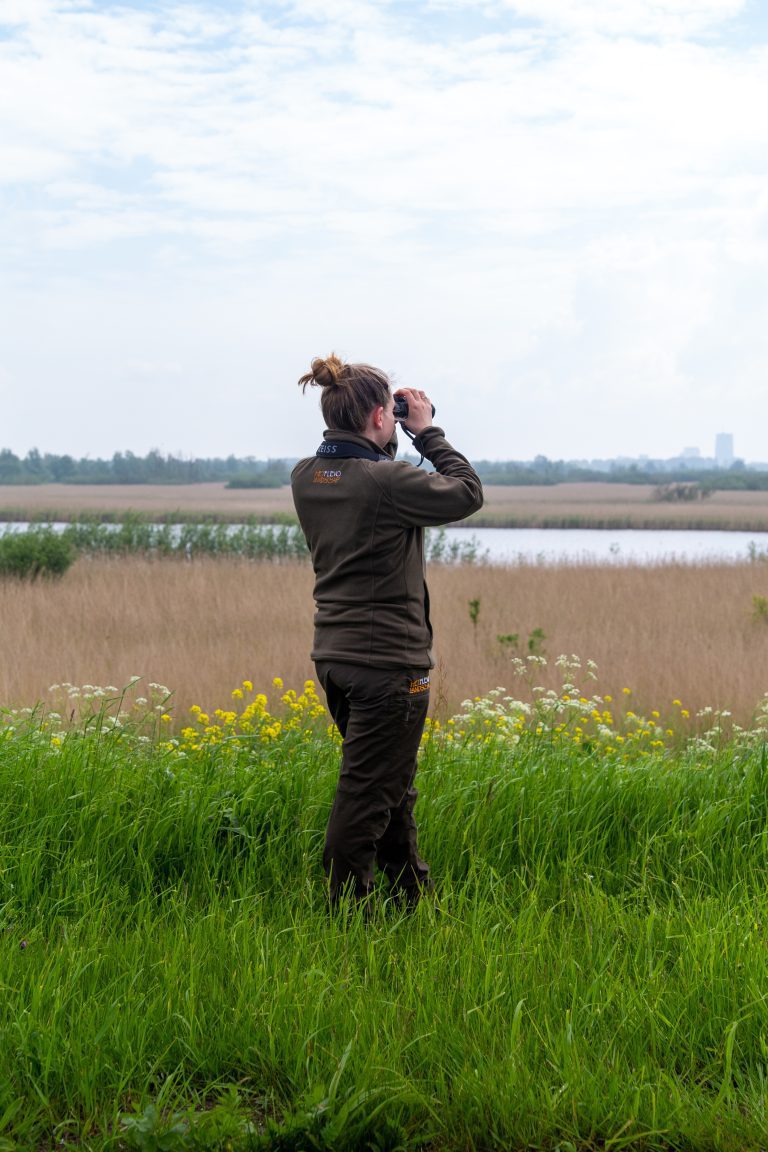 Persoon kijkt met verrekijker naar een groene en waterige natuurgebied onder een bewolkte hemel.