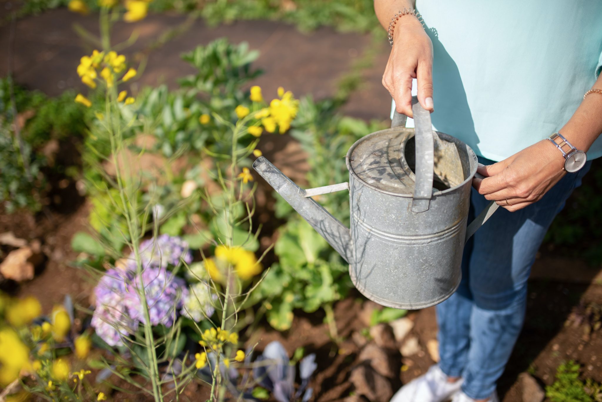 Persoon met gieter in bloementuin, omringd door gele bloemen.