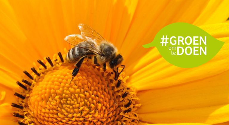 Bij op een gele bloem met tekstballon 