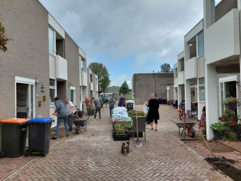 Mensen werken samen in een smalle straat, met gereedschap en planten, omringd door rijtjeshuizen.