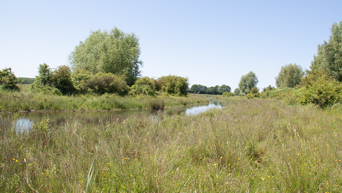 IVN Trektocht Flevoland