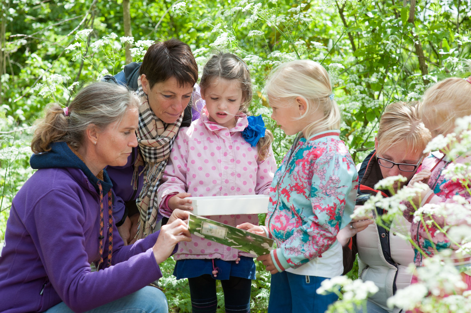 Moeder en kinderen onderzoeken een bakje en een boek in een groene, bloemrijke omgeving.