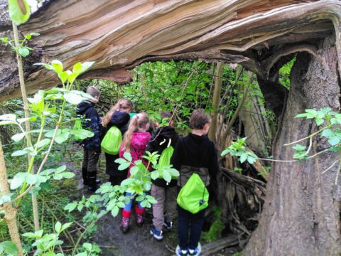 Kinderen verkennen een bos onder een omgevallen boomstam. Ze dragen felle rugzakken.