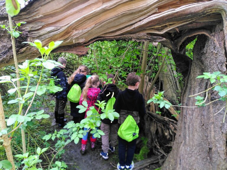 Kinderen verkennen een bos onder een omgevallen boomstam. Ze dragen felle rugzakken.