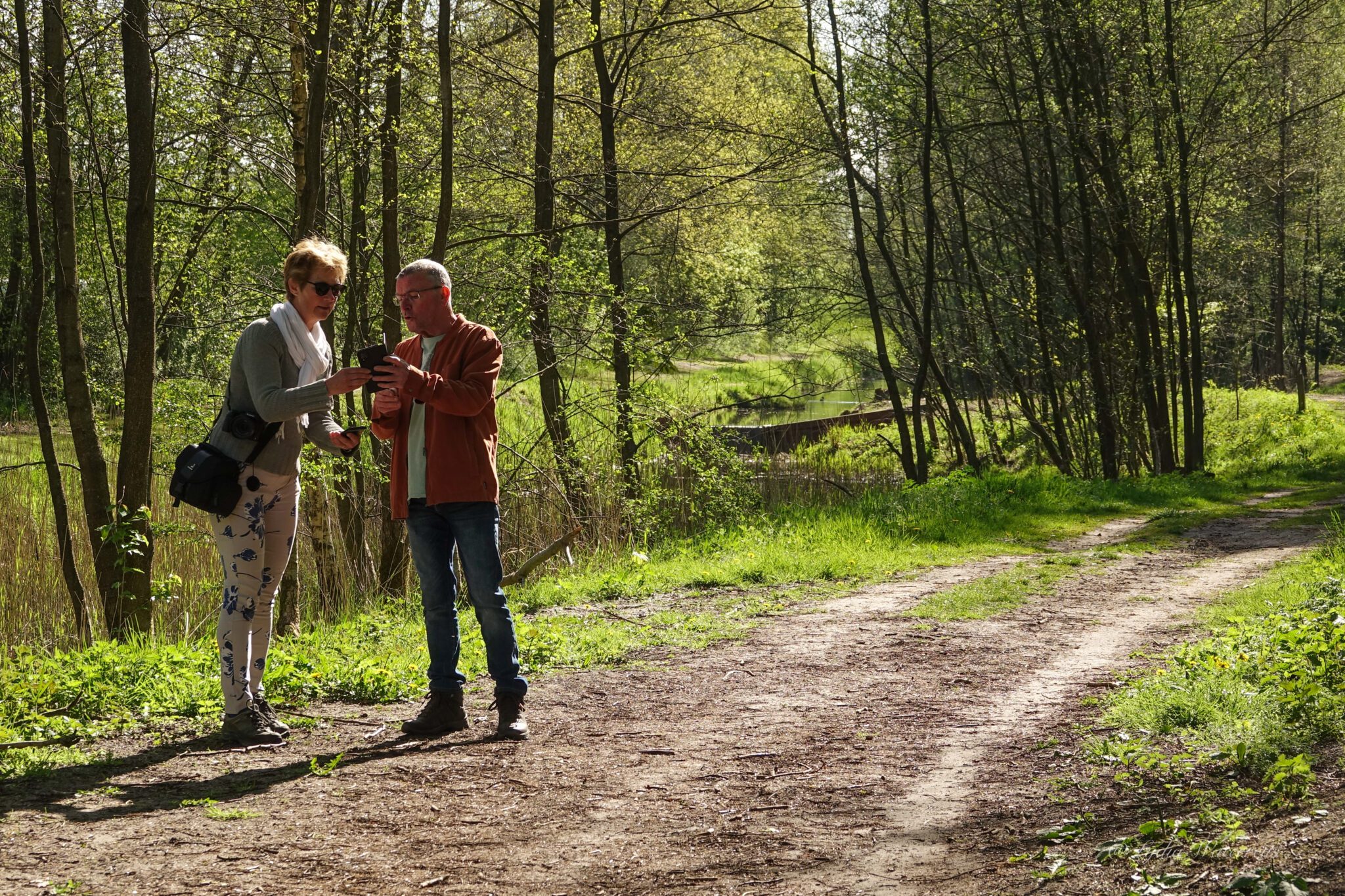 wandelen in flevoland tips ken de regels