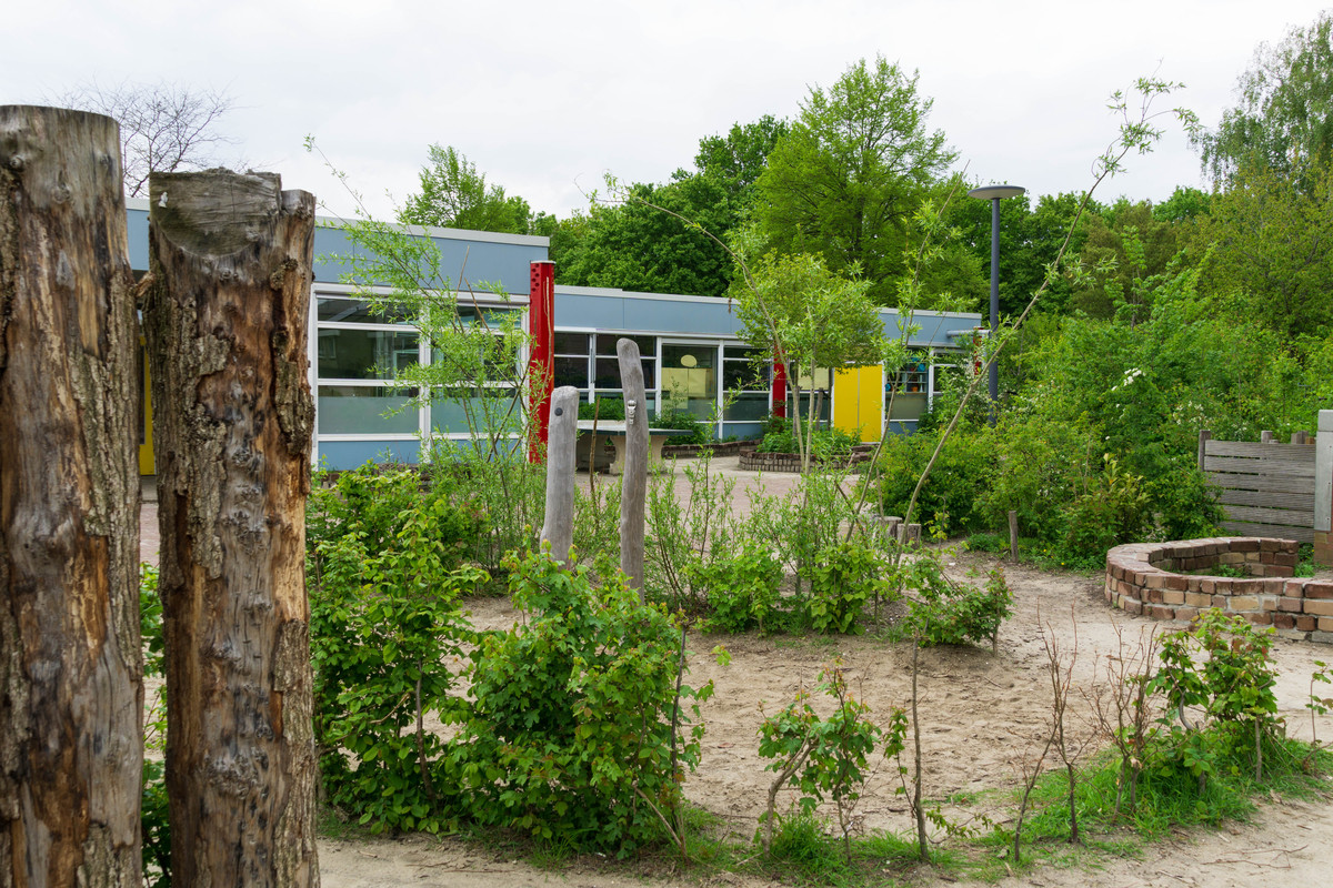 Speelplaats met houten palen, groene struiken en een modern schoolgebouw op de achtergrond.