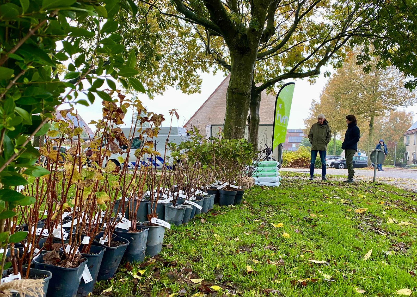 Rij potplanten op gras, twee mensen staan naast een boom, met groene IVN-vlag op achtergrond.