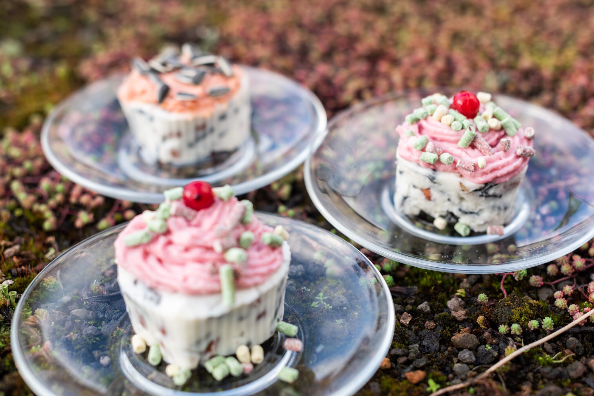 Drie desserts op glazen schotels met roze en groene decoratie, geplaatst op mosrijke ondergrond.
