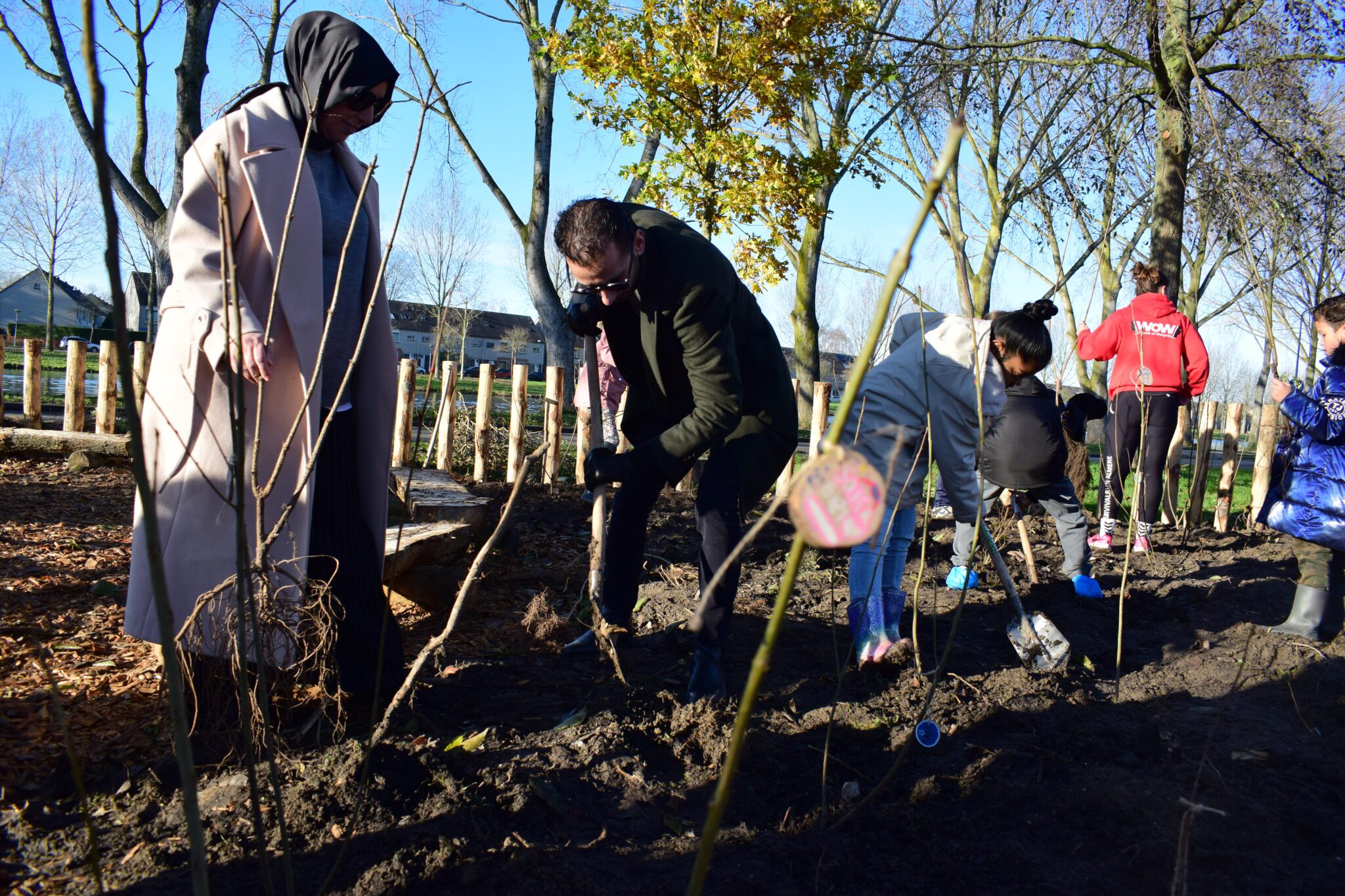 Mensen planten jonge bomen in een park op een zonnige dag, omringd door kale bomen.
