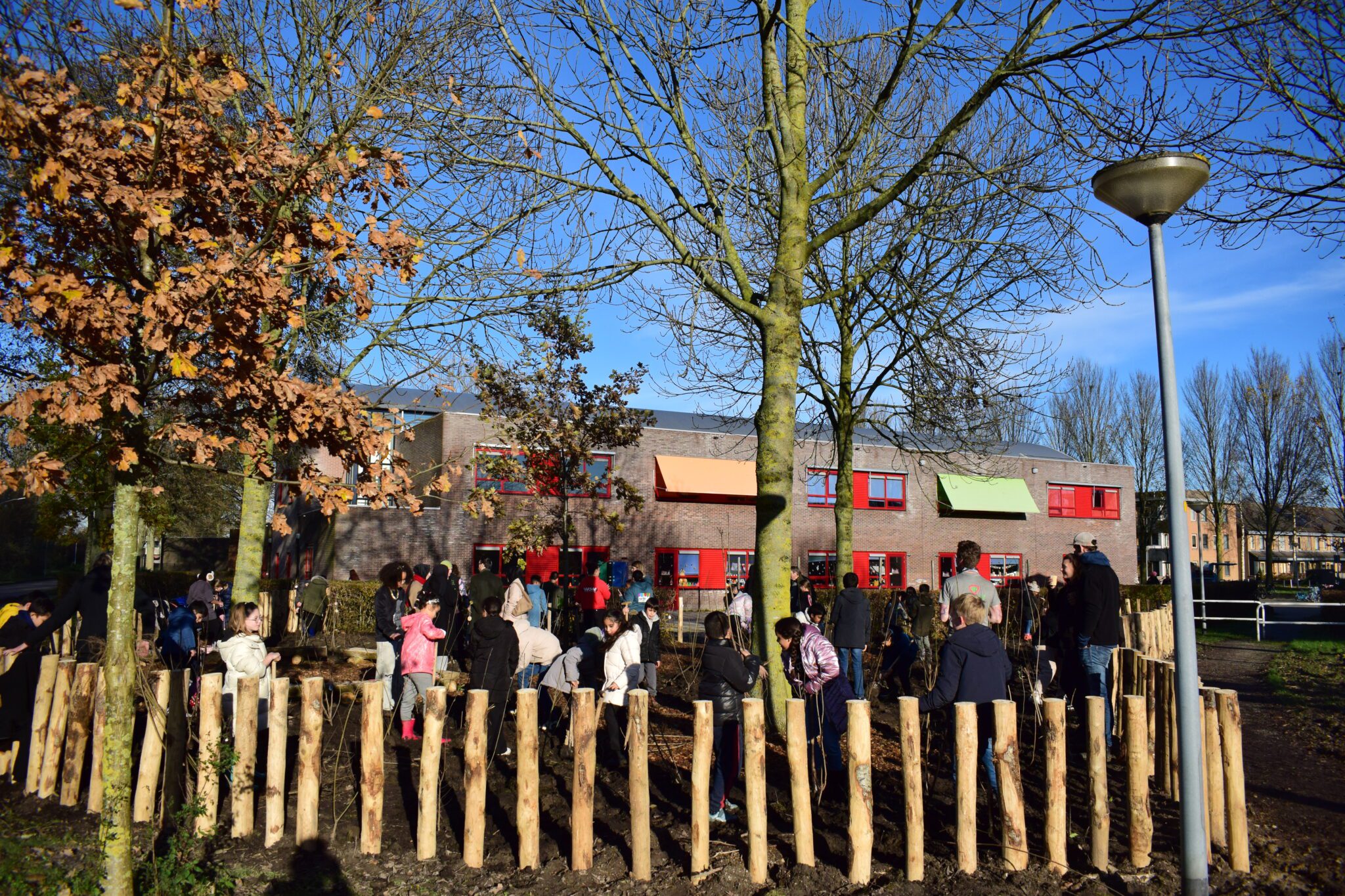 Groep mensen plant bomen voor een schoolgebouw op een zonnige dag, omringd door houten hek.