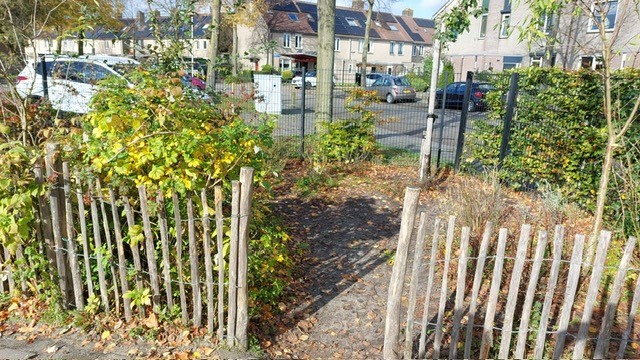 Tuinpad met houten hekjes en struiken, leidt naar woonwijk met geparkeerde auto's en rijtjeshuizen.