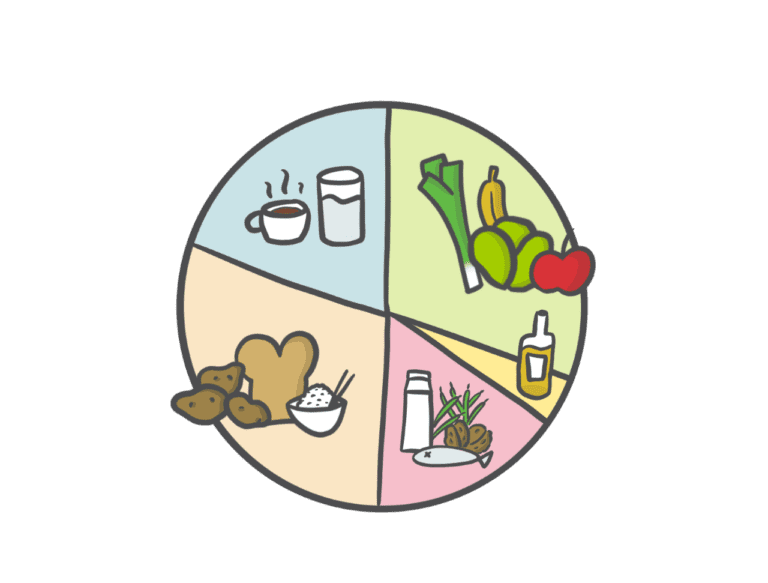 Voedselpiramide in cirkelvorm met groenten, zuivel, brood, vis, olie.