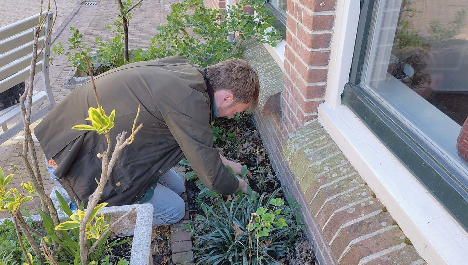 Man bezig met tuinieren in kleine tuin naast bakstenen huis.
