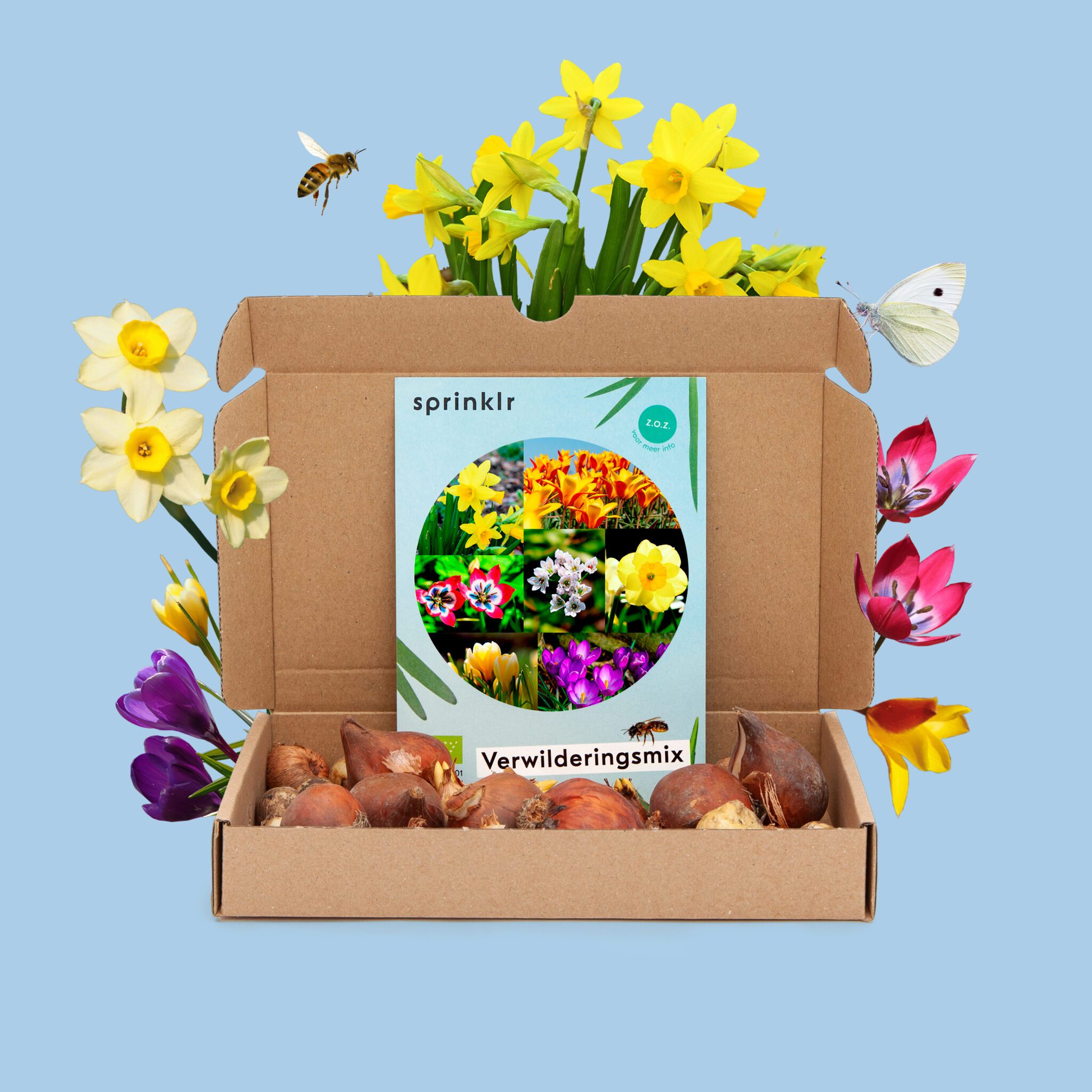 Doos met bloembollen en kleurrijke bloemen, bij en vlinder op blauwe achtergrond.