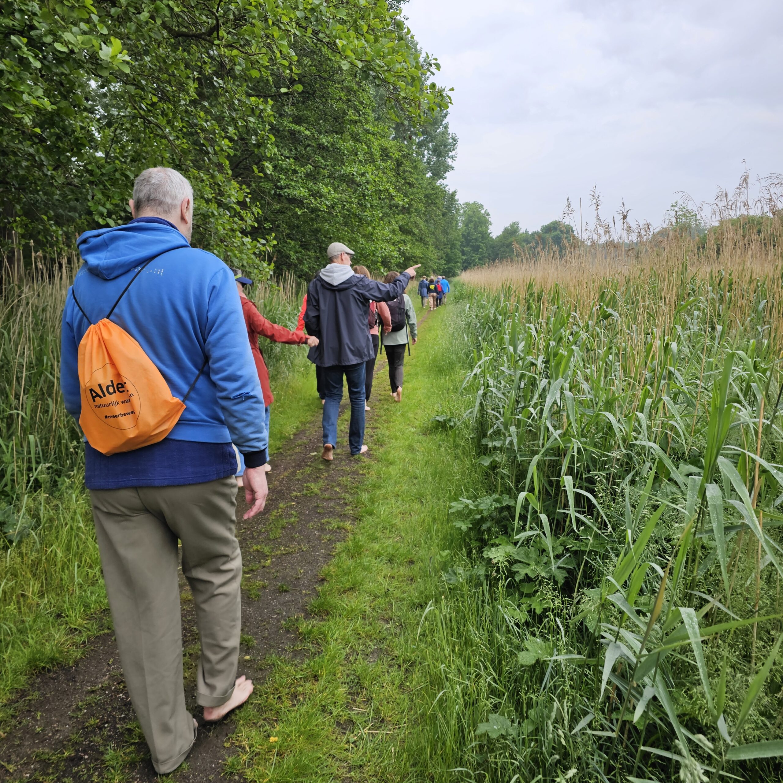 Een groep mensen wandelt over een pad omringd door hoge grassen en bomen.